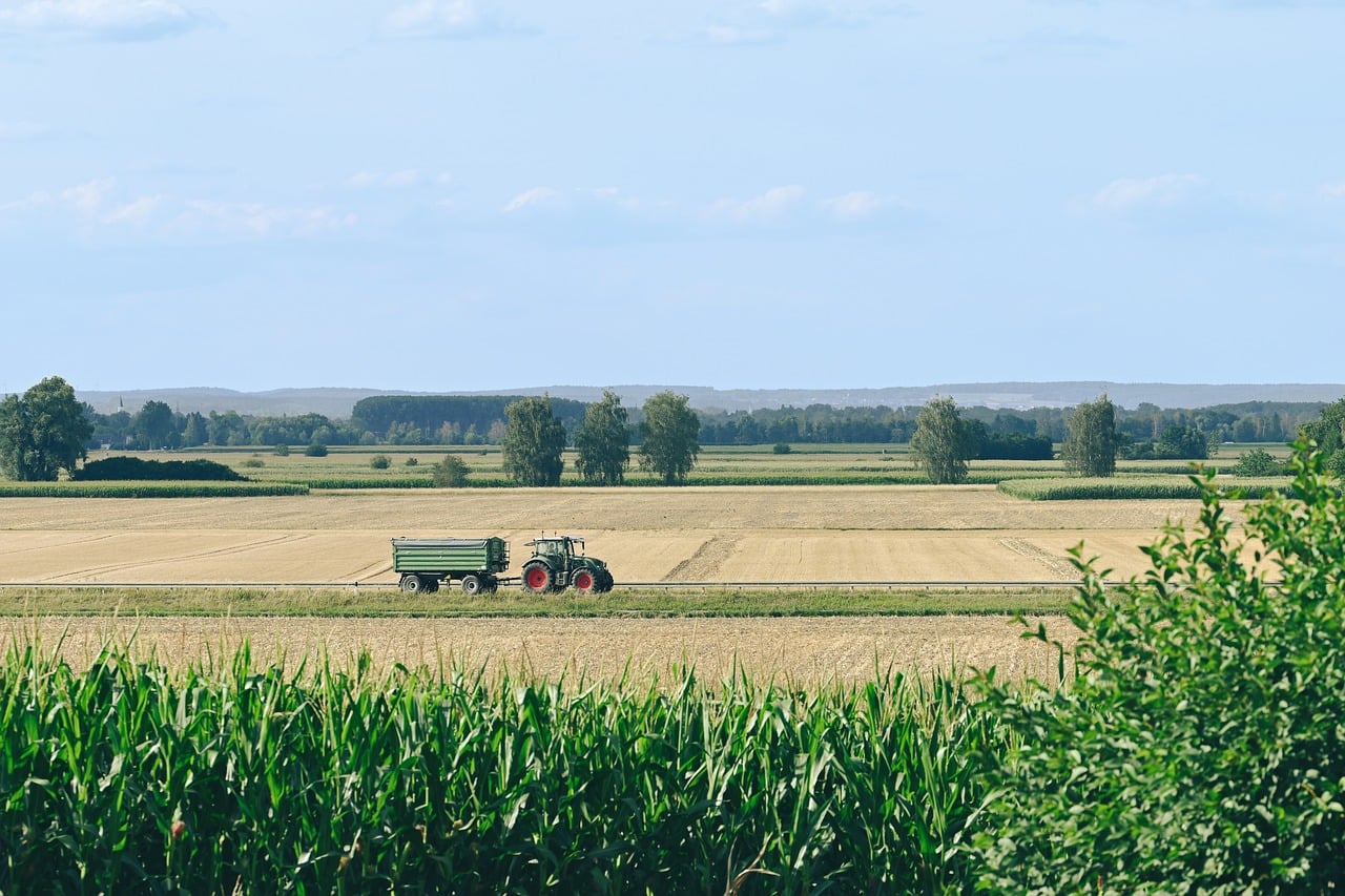 Pole uprawne rozciągające się po horyzont